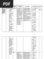 Actividades PER DECO 2023