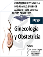 Guia Ginecobstetrica 073626