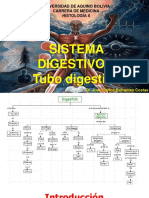 Sistema Digestivo Ii 2023