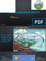 5 Ciclos Biogeoquímicos