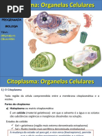 Organelas Citoplasmaticas