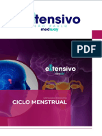 Ciclo Menstrual