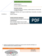 Generalidades Neuroanatomia