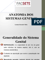 Aula 3 - Anatomia Do Sistema Reprodutor Masculino (1) 2