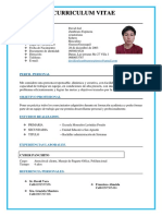 Curriculum Vitae David Zambrano