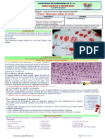 Ficha 04-U2 - 4to-Indaga - Mitosis y Meiosis