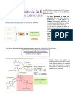 Bioquímica 4 - Continuación Evaluación de La Función Renal