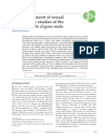 Emmons-2014-Wiley Interdisciplinary Reviews - Developmental Biology