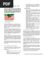 Lectura Sobre El Dengue