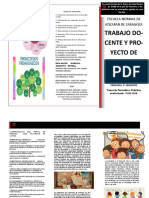 Triptico6°Trab Doc PROYECTOMEJORA Lic Prim