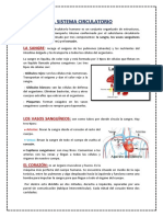 El Sistema Circulatorio