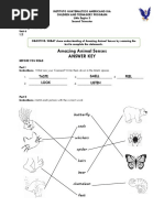 Amazin Animal Senses - Answers