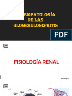 Fisiopatologia de Las Glomerulonefritis 15