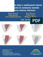 Técnica Del Cono Único y Condensación Lateral en La Obturación de Conductos Mesiales de Primeros Molares Inferiores