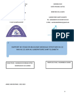 Rapport Stage Saint Elisabeth