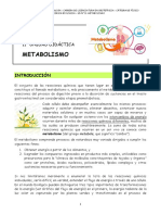 Metabolismo HC - 1° Parte