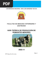 Guía Teórica de Producción de Rumiantes Menores: Facultad de Medicina Veterinaria Y Zootecnia