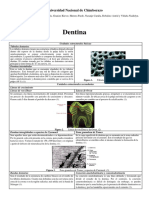 Grupo Nº3 Resumen Dentina