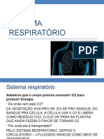 Sistema Respiratório