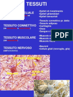 2021 FARMACIA Istologia 7 Tessuto Nervoso 16 Marzo