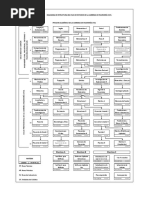 Pemsum Trimestres (TODOS)