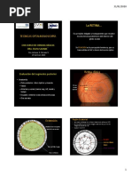 Tecnicas Oftalmoscopia2020