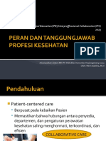 Peran Dan Tanggungjawab Profesi-Ipe