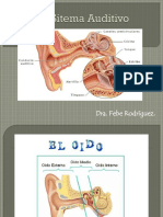 Sitema Auditivo