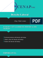 Tema 1 - Derecho Laboral