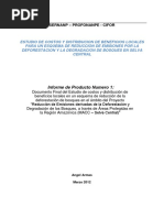 Estudio de Costos y Distribucio de Beneficios Locales en Un Esquena de Reduccion de La Deforestacion de Bosques en Selva Central