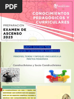 01 02 L Grupo Docente Peru L Conocimientos Pedagogicos y Curriculares