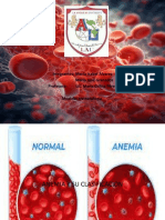 Presentación Hematologia