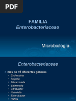 Enterobacterias GL