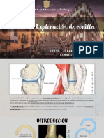 Exploración Rodilla