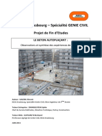 PFE - Vincent VALERA - BAP Observations Et Synthèse Des Expériences de Chantier