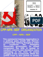 Cpp-Npa Orgn - Revised Feb 2014