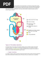 Double Circulation