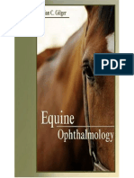 Equine Ophthalmology