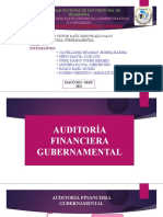 Auditoria Financiera Gubernamental