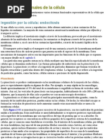 Guyton y Hall Tratado - Fisiología Médica - Semana 8pdf