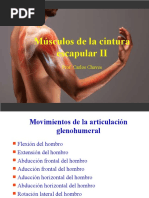 Articulación Glenohumeral