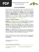 Acta de Compromiso 003