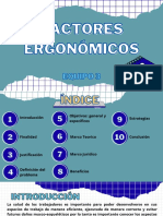 Factores Ergonómicos