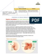 Seguimos Conociendonos para Tomar Buenas Decisiones