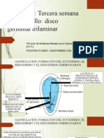 Capítulo 5 Tercera Semana Del Desarrollo Disco Germinativo Trilaminar