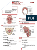 Lec04 - Assessing Mouth, Throat, Abdomen and Rectum