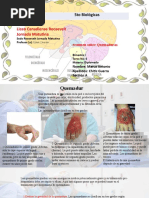 Caratula 2 Power