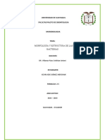 Morfología y Estructura (Micro)