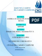 Proyecto Modular Derecho Civil