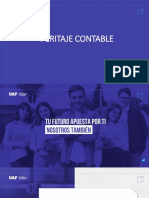 Peritaje Contable 2